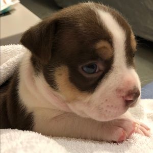 Meet your Posher, Patrice